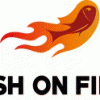 App-ontwikkelaar Fish on Fire